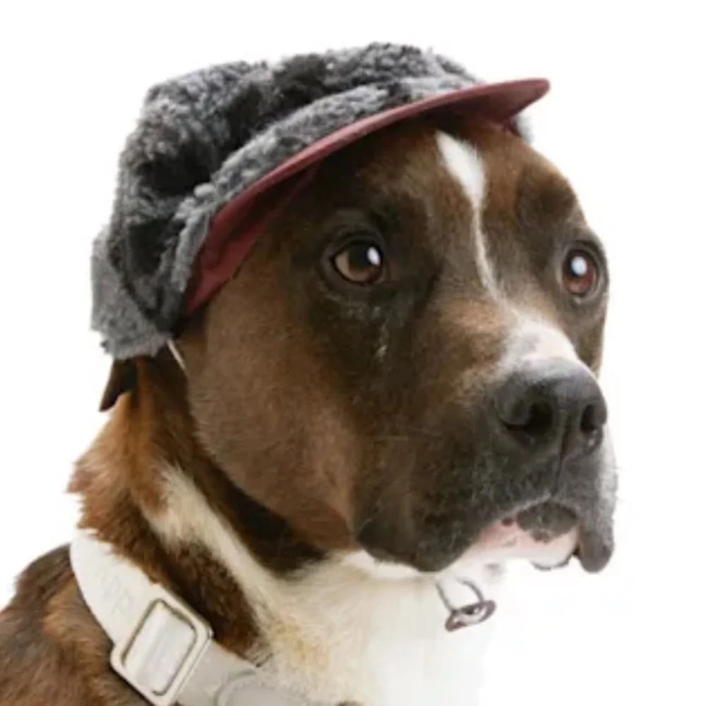NWT Sherpa Reddy Hat Cap Dog S/M